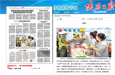 ag尊龙凯时西北集团珑樾府项目高温慰问——《陕西日报》